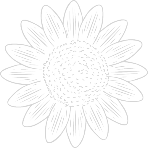 Holistic sunflower (2)